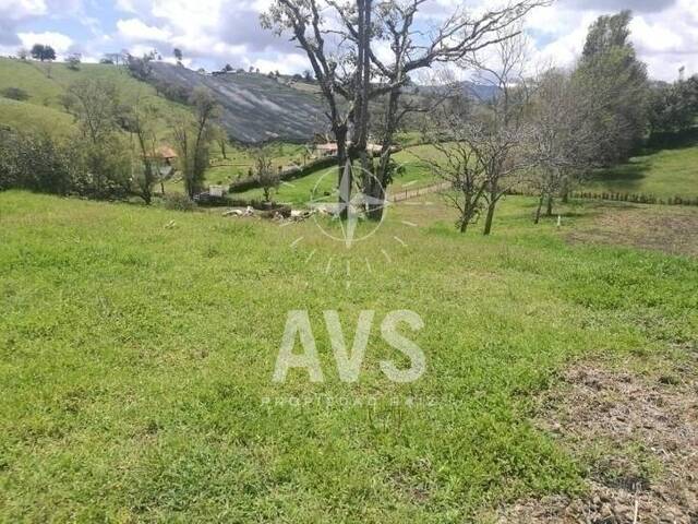 Terreno para Venta en Carmen de Viboral - 3