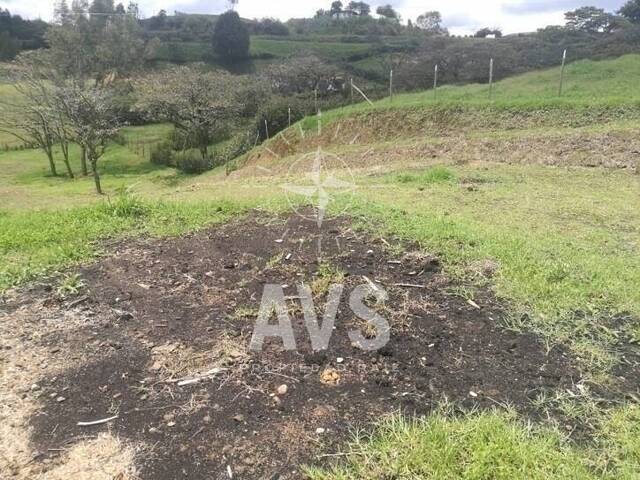 Terreno para Venta en Carmen de Viboral - 5