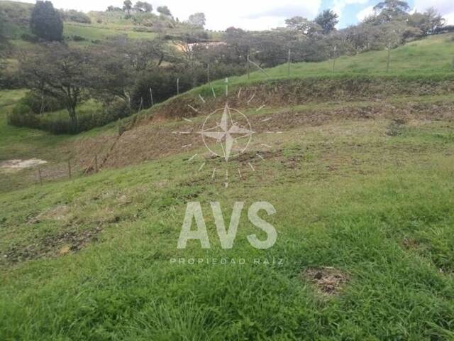 Terreno para Venta en Carmen de Viboral - 4