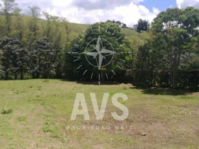 Terreno para Venta en Carmen de Viboral - 2