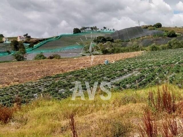 Venta en Cerca al Pueblo - La Unión