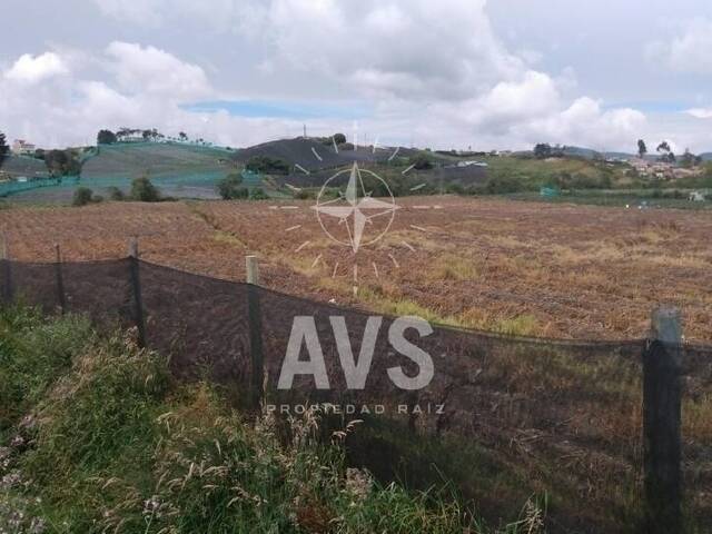Terreno para Venta en La Unión - 4