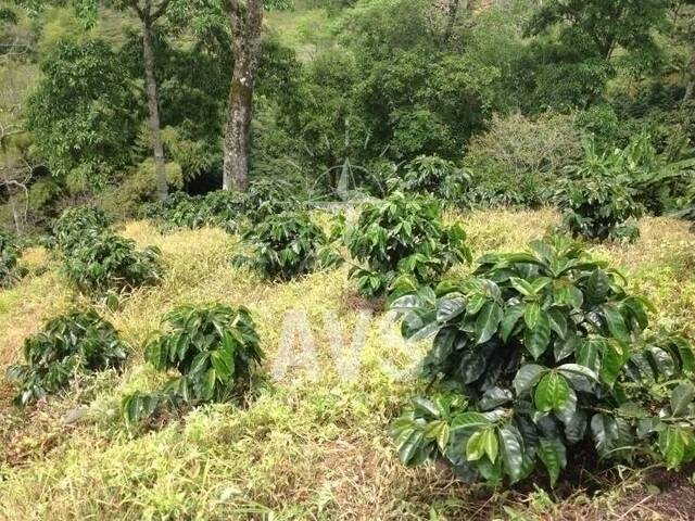 Finca para Venta en Peñol - 4