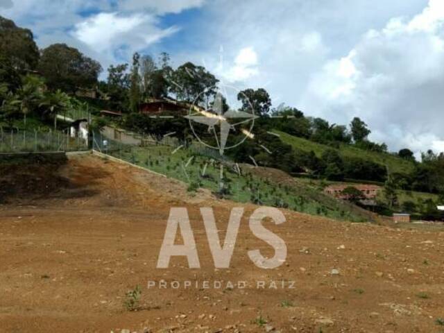 Terreno para Venta en Copacabana - 4