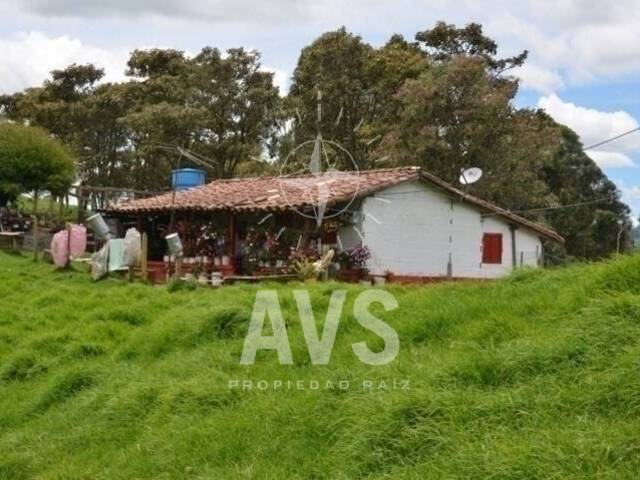 #2570 - Finca para Venta en Bello - ANT - 3