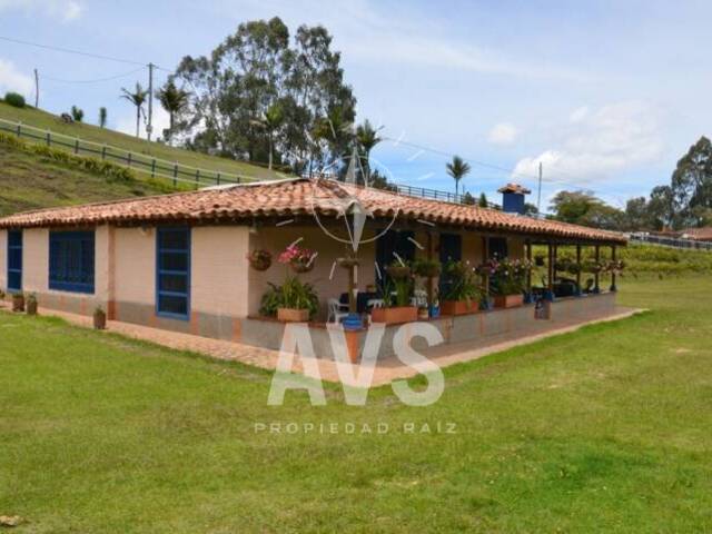 #2570 - Finca para Venta en Bello - ANT - 1