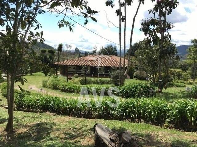 Venta en Pantanillo Cebadero - Envigado