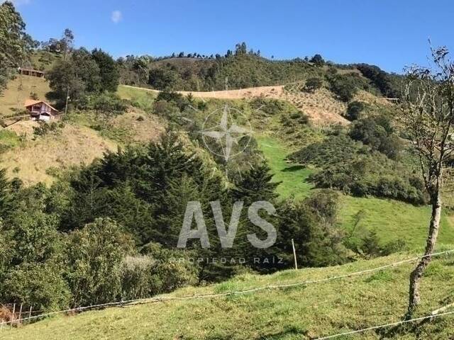 Terreno para Venta en Envigado - 4