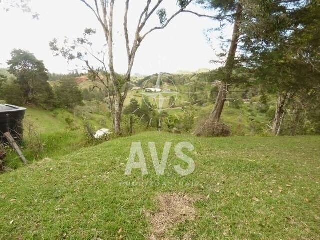 Terreno para Venta en Retiro - 5