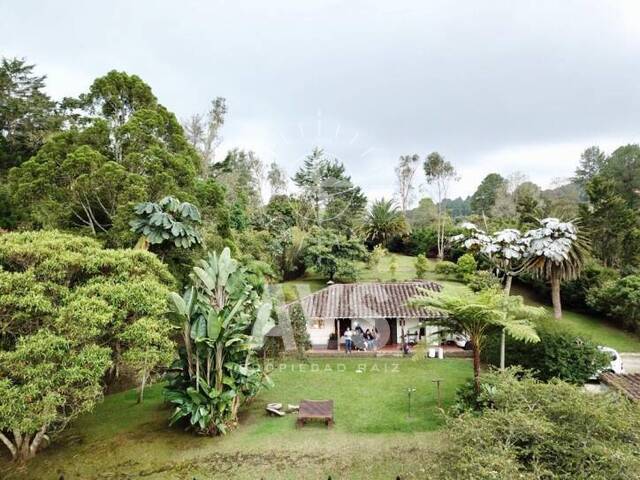 Finca para Venta en Rionegro - 5