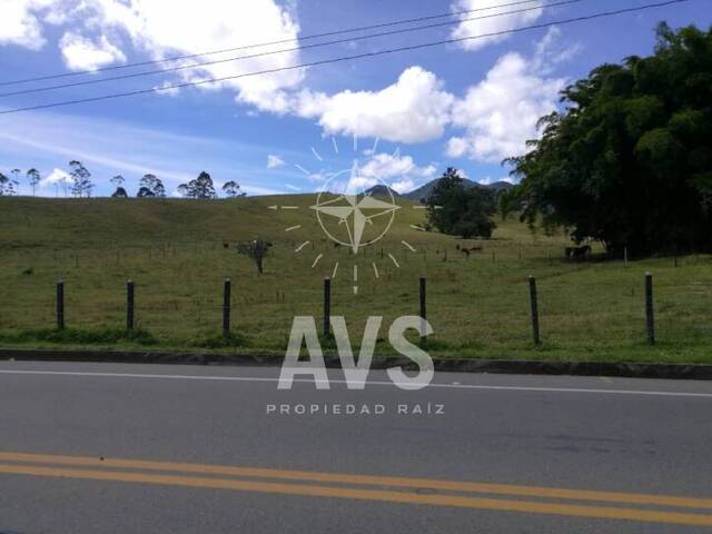 #2644 - Terreno para Venta en Carmen de Viboral - ANT - 2