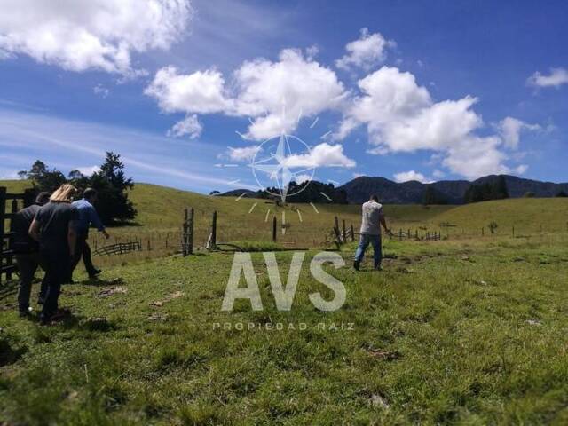 Terreno para Venta en Carmen de Viboral - 4