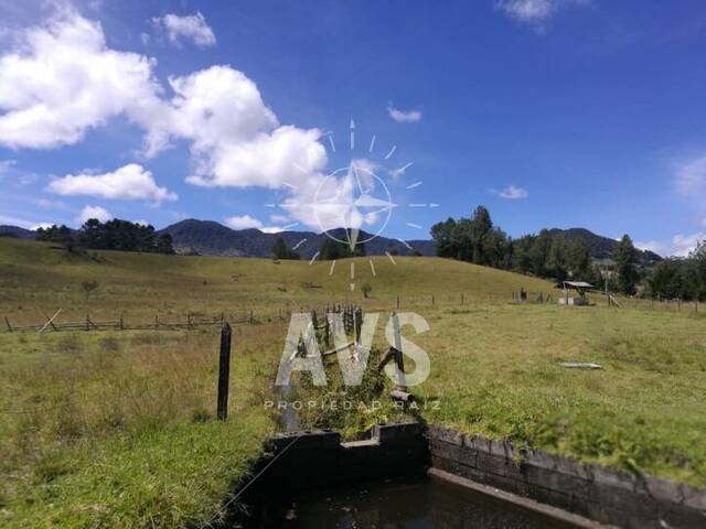 #2644 - Terreno para Venta en Carmen de Viboral - ANT - 3