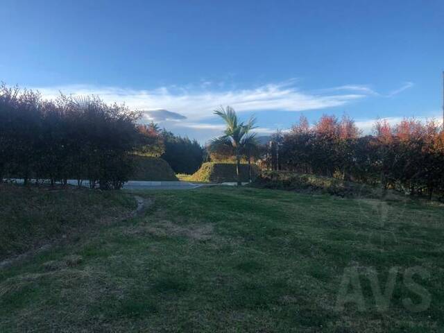 Terreno para Venta en Envigado - 4