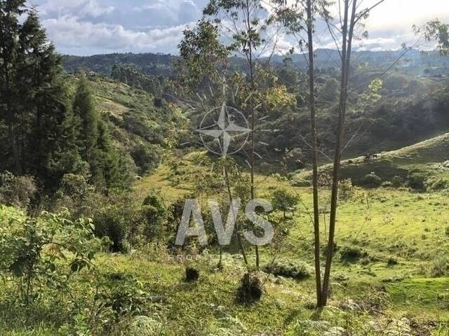 #2666 - Terreno para Venta en Guarne - ANT - 2