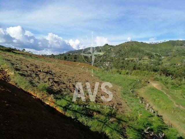#1629 - Terreno para Venta en Retiro - ANT - 3