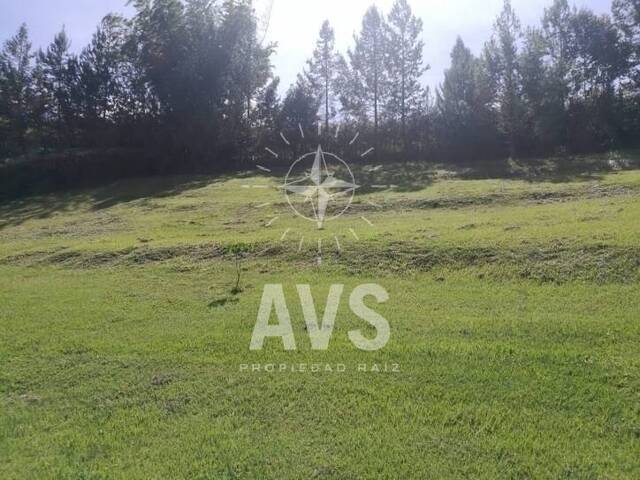 Terreno para Venta en Carmen de Viboral - 5