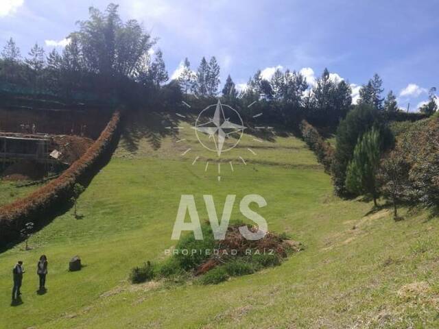 Terreno para Venta en Carmen de Viboral - 4