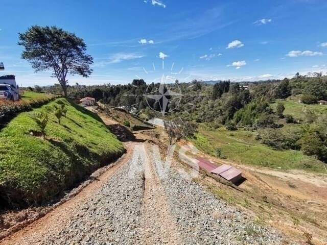 Terreno para Venta en Guarne - 5