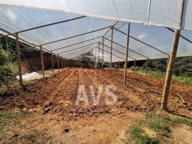 Terreno para Venta en Guarne - 4