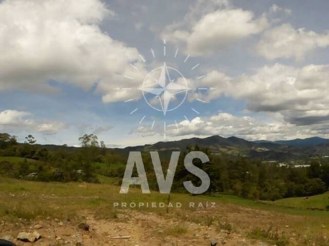 Terreno para Venta en La Ceja - 5