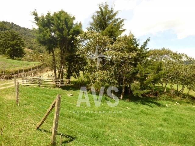#2694 - Terreno para Venta en La Ceja - ANT