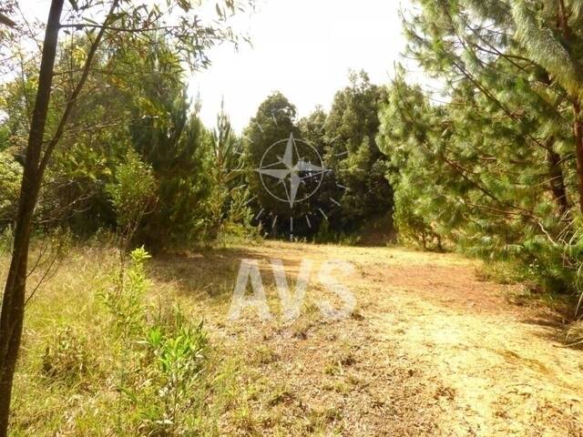 Terreno para Venta en Envigado - 5