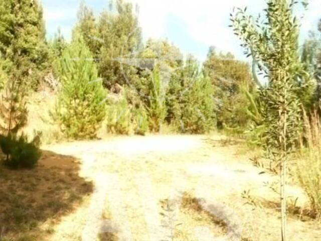 Terreno para Venta en Envigado - 4