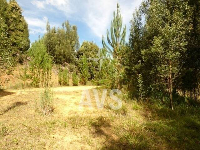 #2661 - Terreno para Venta en Envigado - ANT - 2