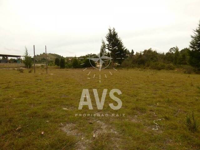 #2603 - Industrial para Venta en Guarne - ANT - 2