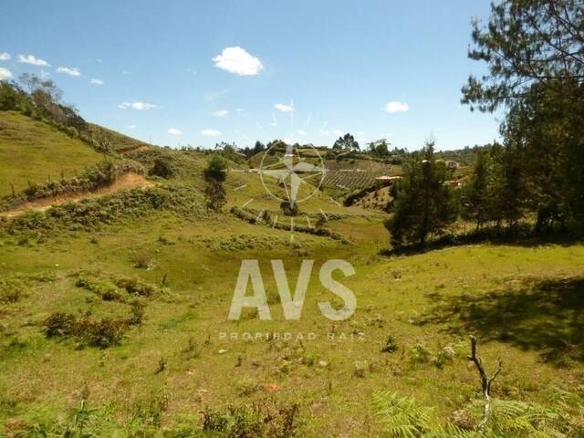 #2740 - Terreno para Venta en San Vicente - ANT - 1