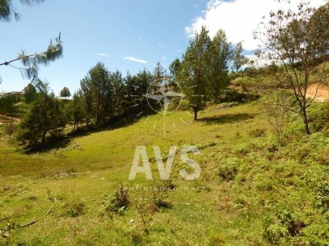 Terreno para Venta en San Vicente - 4