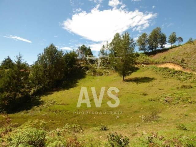 Terreno para Venta en San Vicente - 5