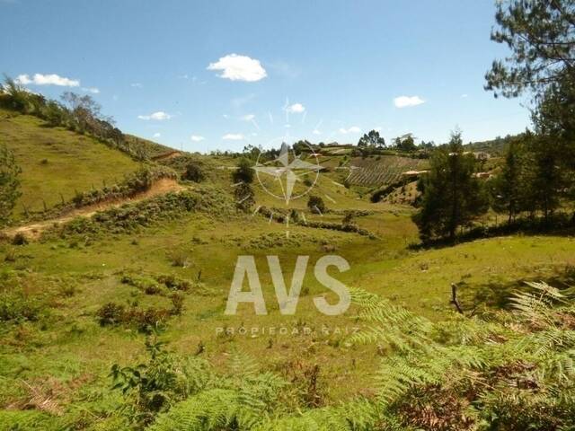 #2740 - Terreno para Venta en San Vicente - ANT - 2