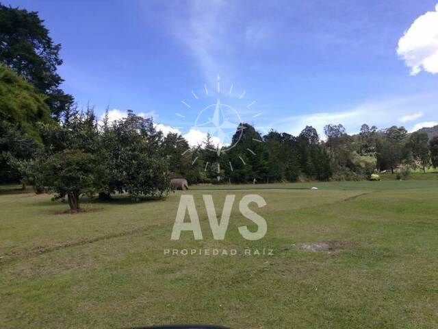 #2646 - Terreno para Venta en Rionegro - ANT - 2