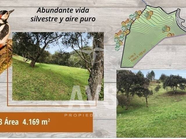 Terreno para Venta en Envigado - 5