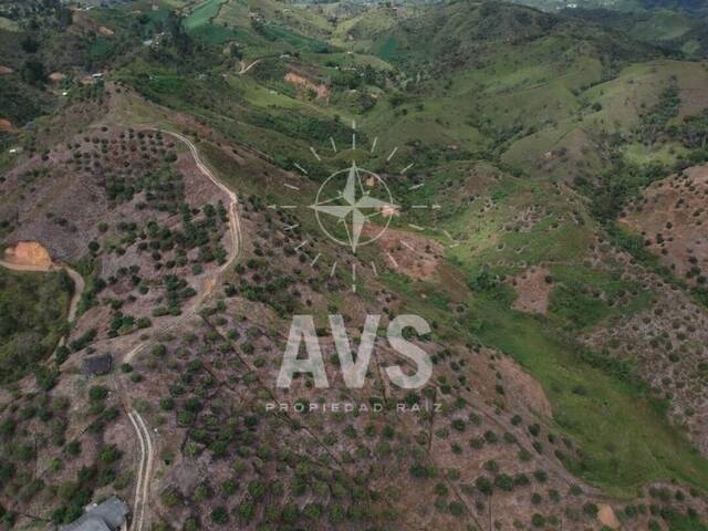 #2802 - Finca para Venta en San Vicente - ANT - 1