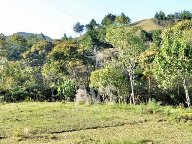 Terreno para Venta en Rionegro - 4