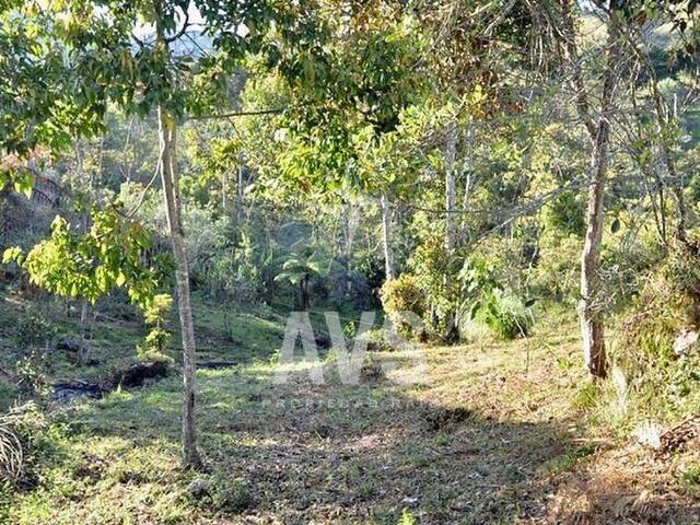Terreno para Venta en Rionegro - 5