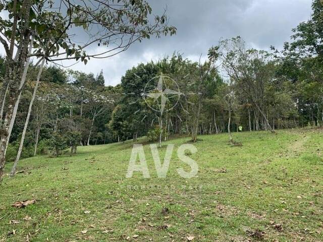 #2825 - Terreno para Venta en Rionegro - ANT - 2