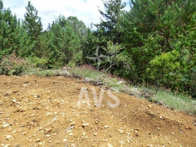 Terreno para Venta en Rionegro - 5