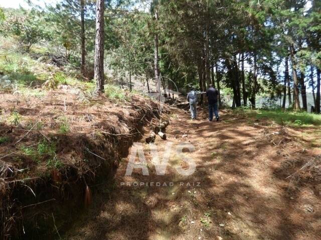 #2815 - Terreno para Venta en Rionegro - ANT - 2