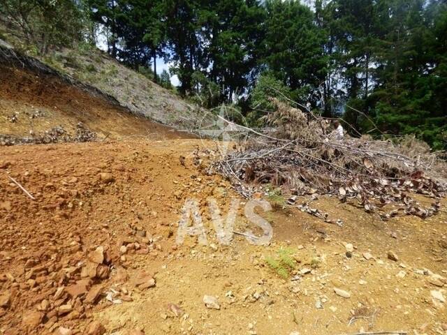 Terreno para Venta en Rionegro - 4