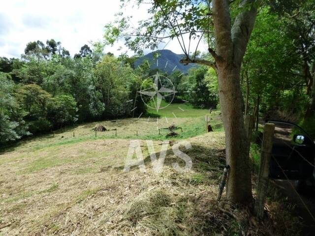 Terreno para Venta en Carmen de Viboral - 5