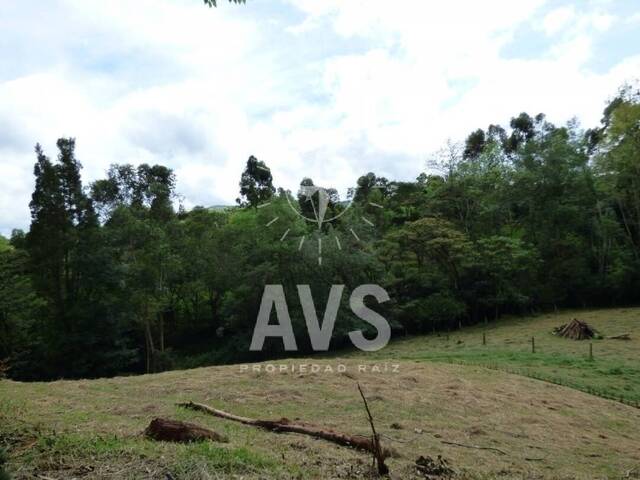 Terreno para Venta en Carmen de Viboral - 4