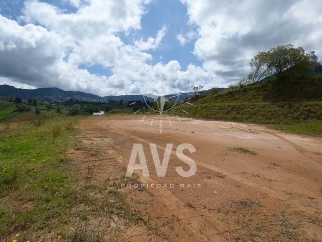 Terreno para Venta en Carmen de Viboral - 4