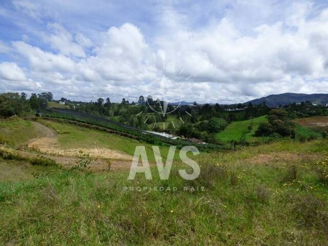 Terreno para Venta en Carmen de Viboral - 5