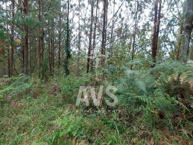 #2846 - Terreno para Venta en Retiro - ANT - 2