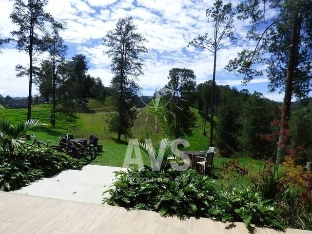 Terreno para Venta en Retiro - 4