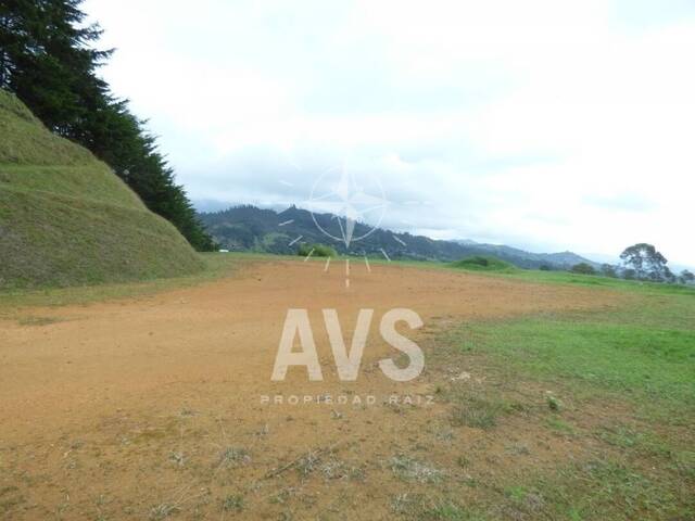 Terreno para Venta en Rionegro - 5